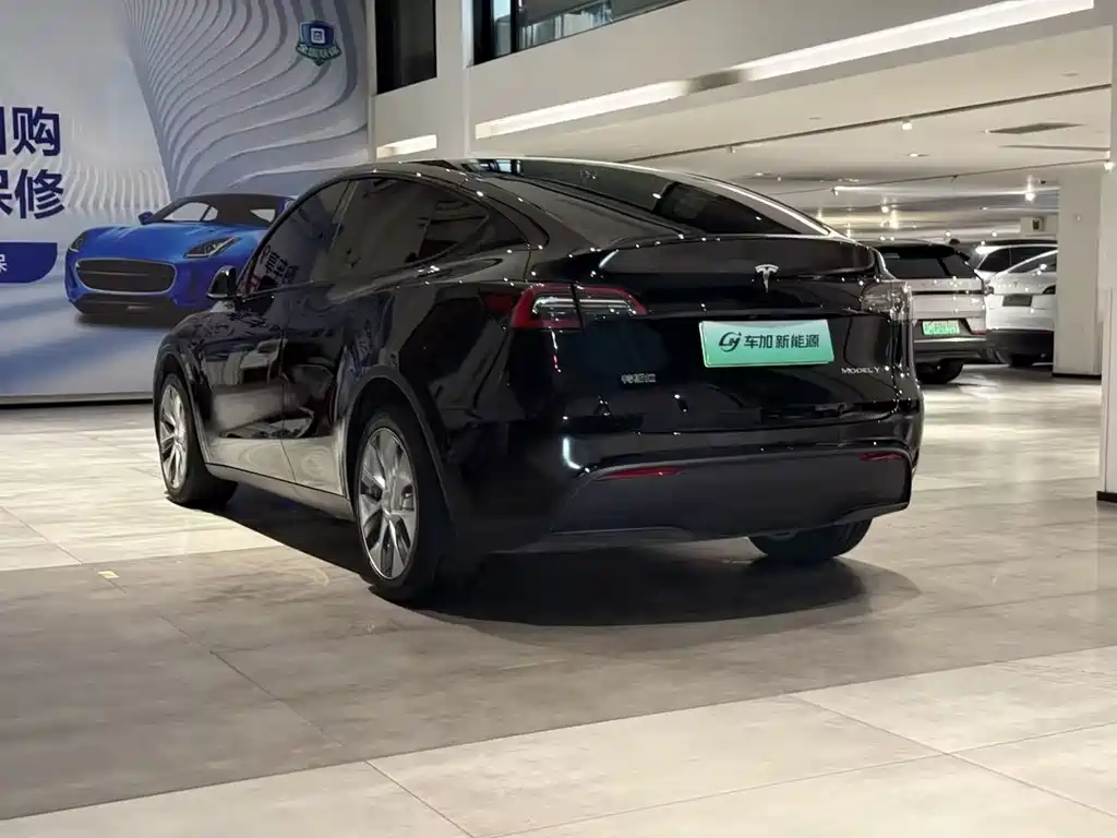 Tesla Model Y — фото 4