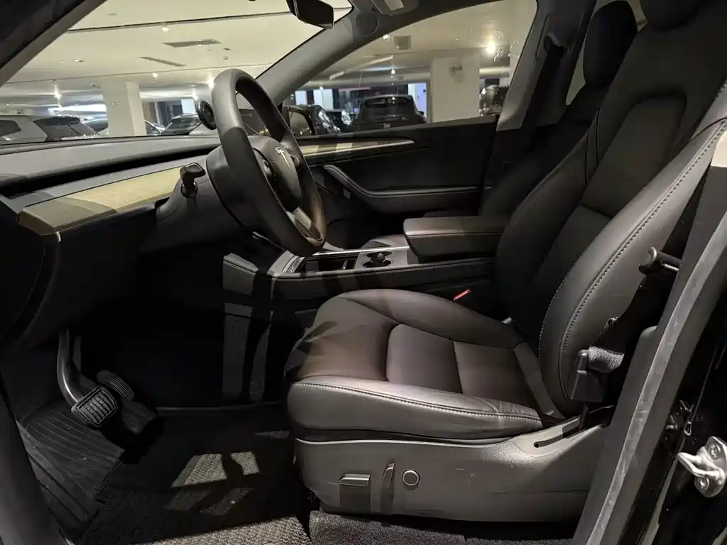 Tesla Model Y — фото 10