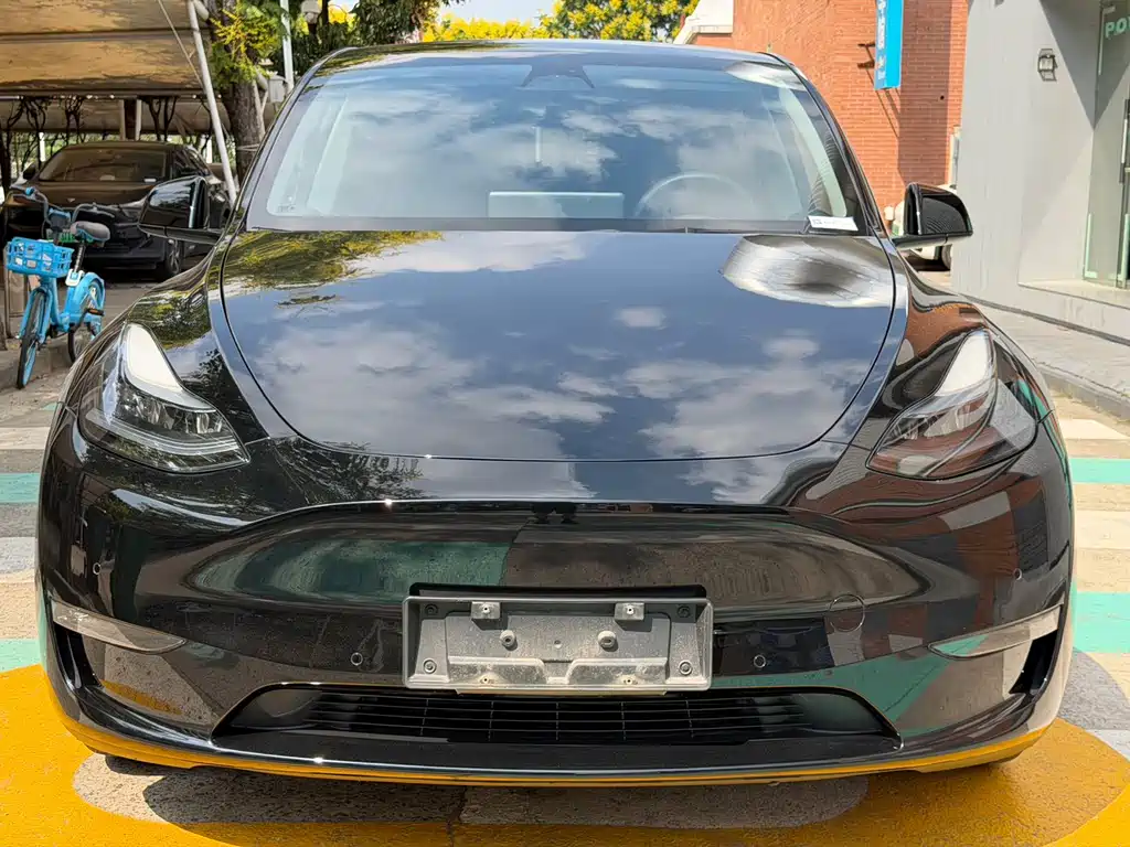 Tesla Model Y — фото 2