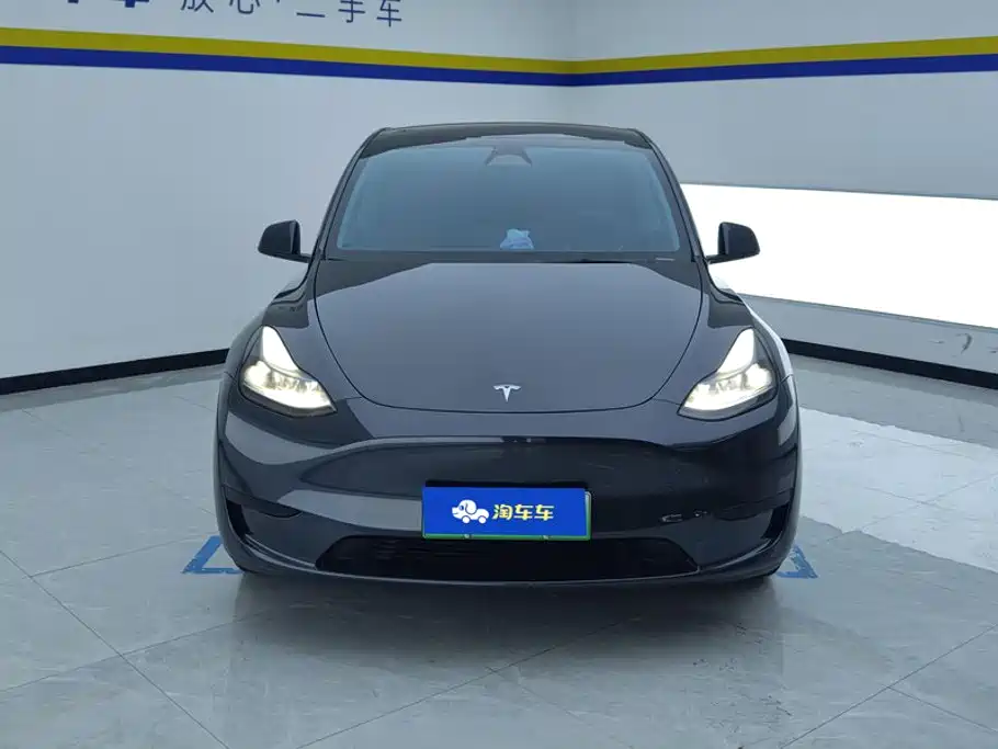 Tesla Model Y — фото 2