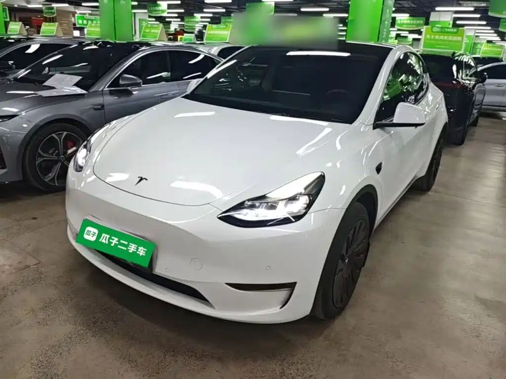 Tesla Model Y — фото 2