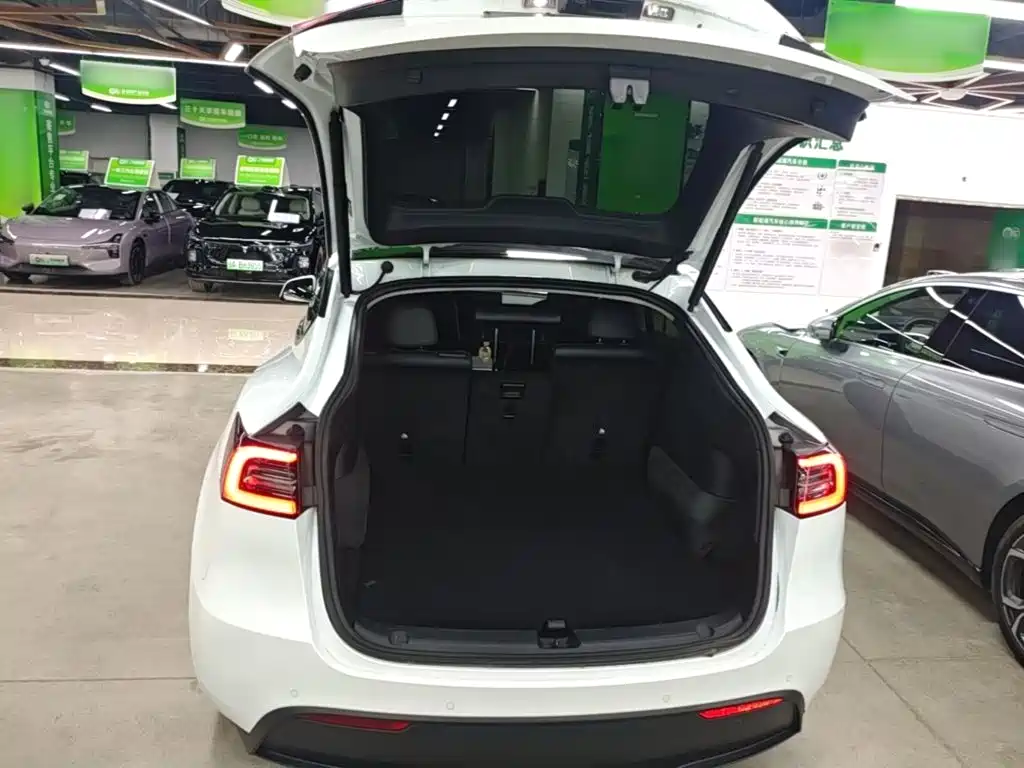 Tesla Model Y — фото 19