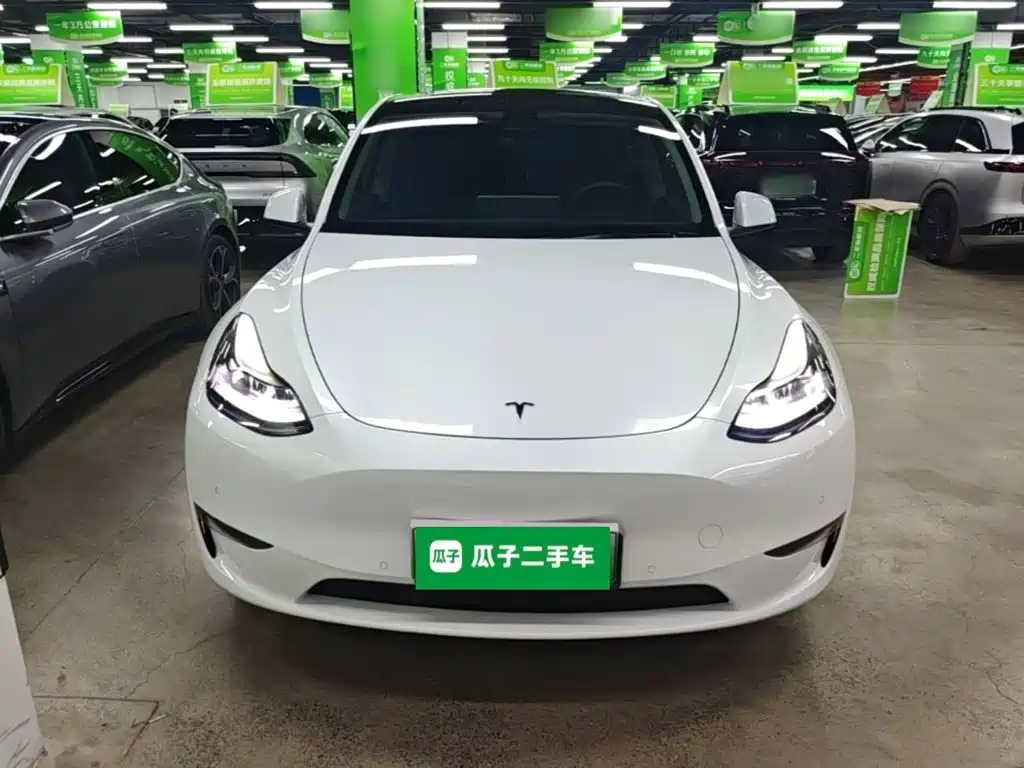 Tesla Model Y — фото 3