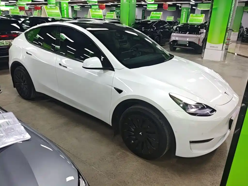 Tesla Model Y — фото 4