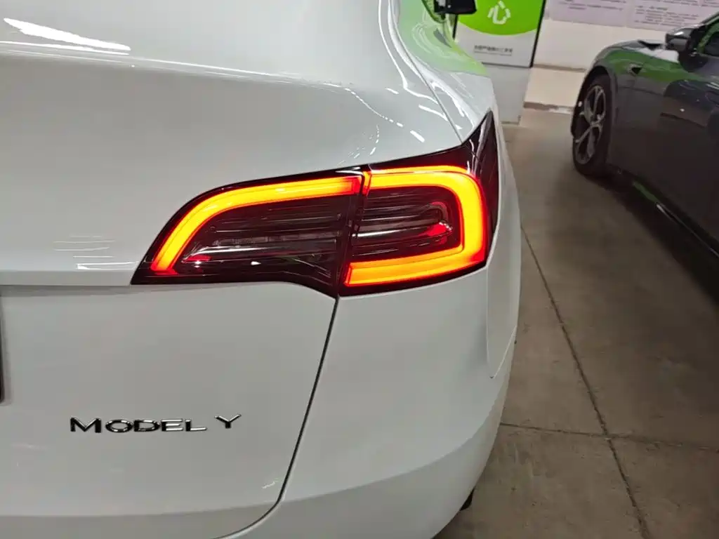 Tesla Model Y — фото 8