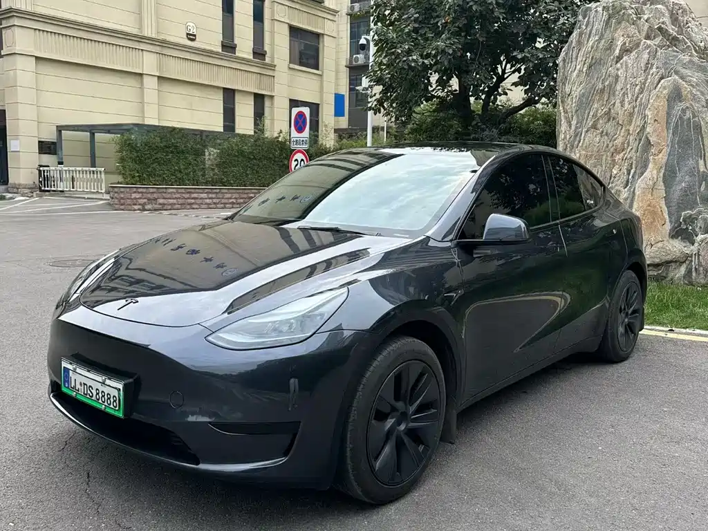 Tesla Model Y — фото 2