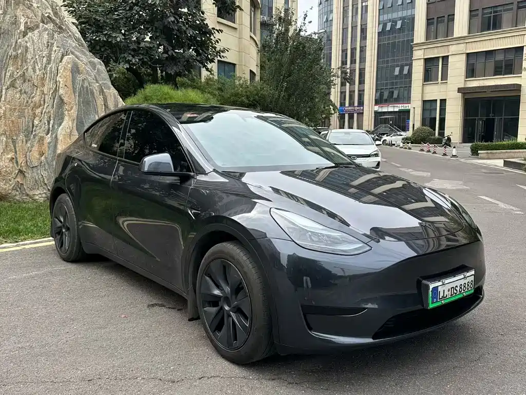Tesla Model Y — фото 3