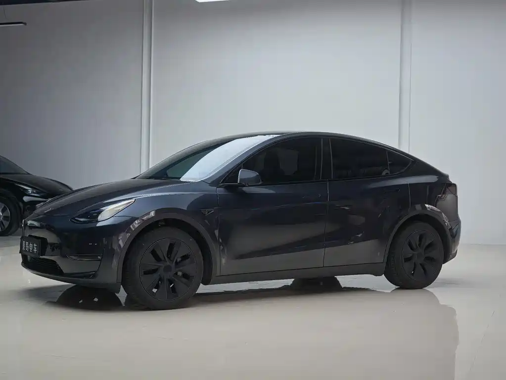 Tesla Model Y — фото 2