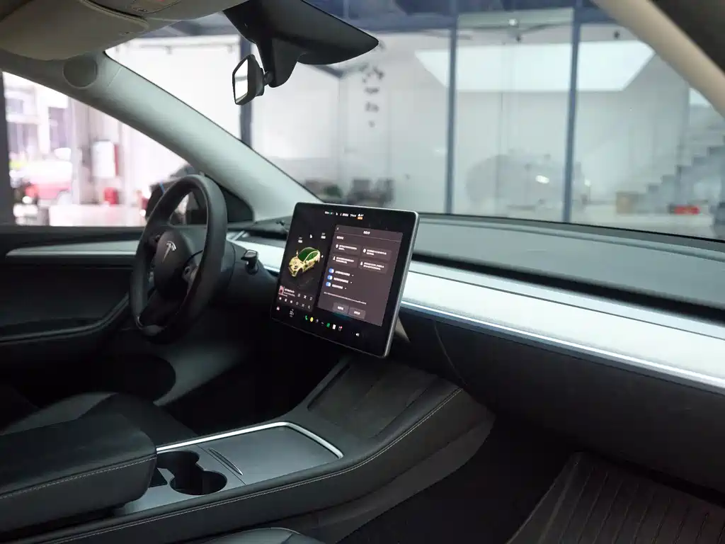Tesla Model Y — фото 11