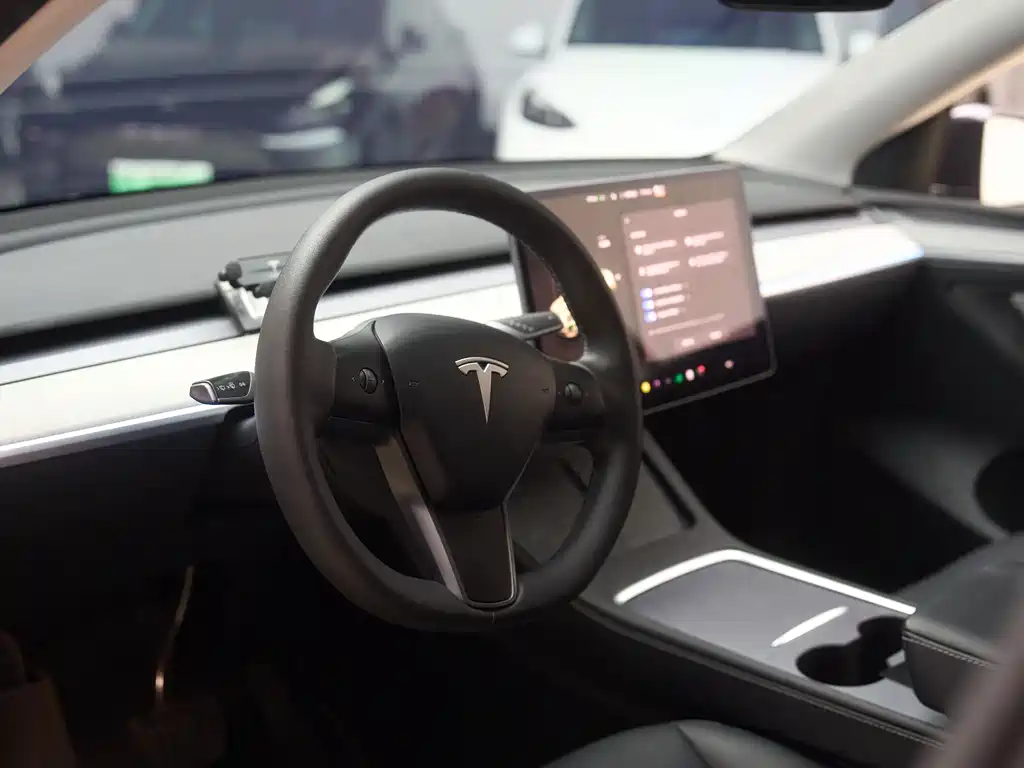 Tesla Model Y — фото 14