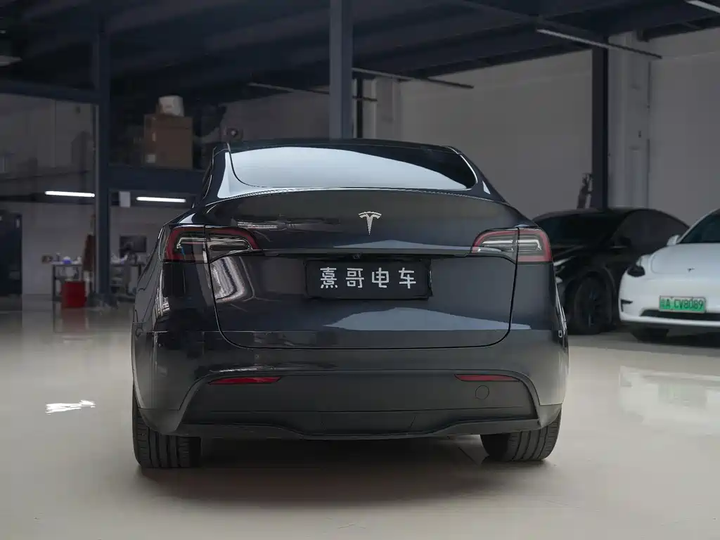 Tesla Model Y — фото 5