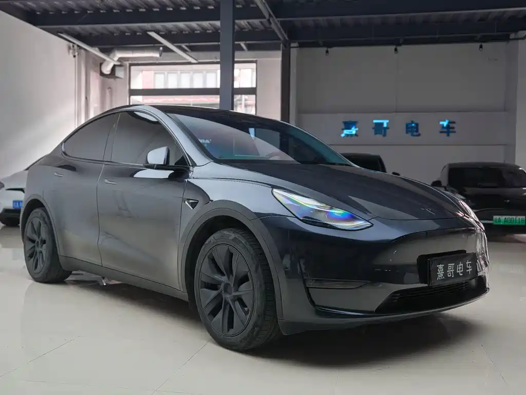 Tesla Model Y — фото 8