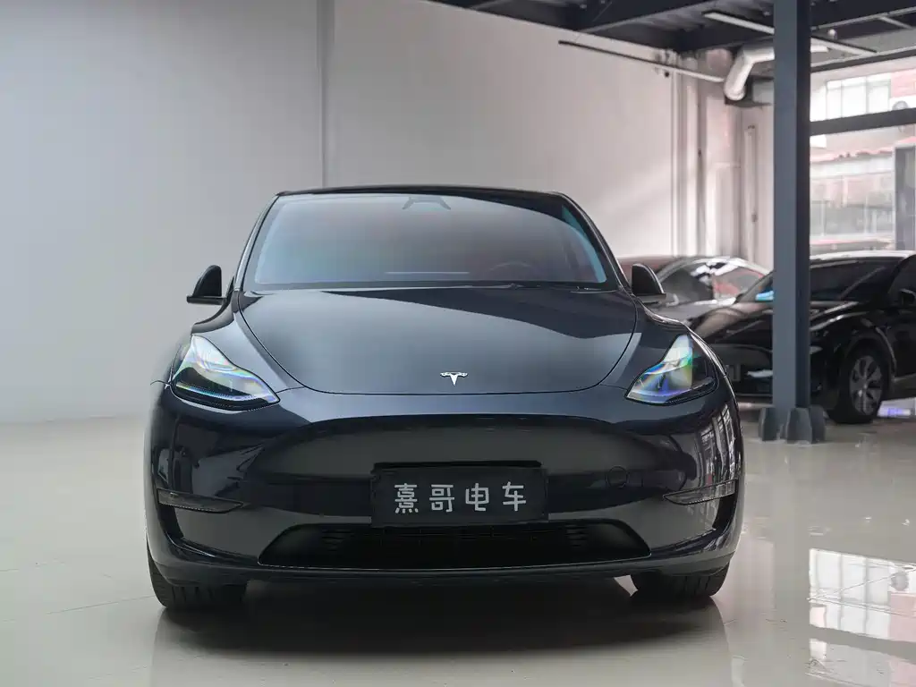 Tesla Model Y — фото 9
