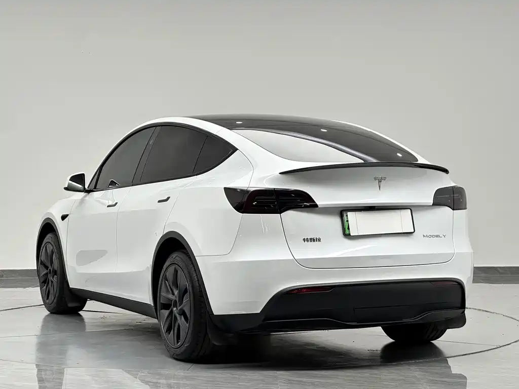 Tesla Model Y — фото 5