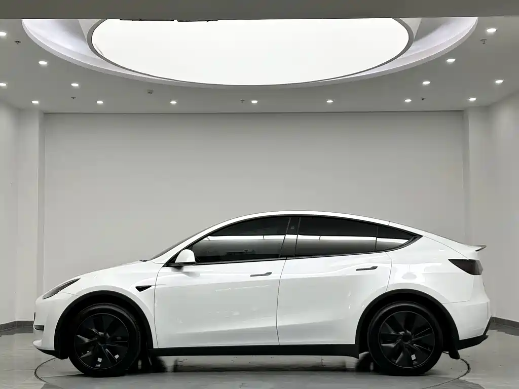 Tesla Model Y — фото 6