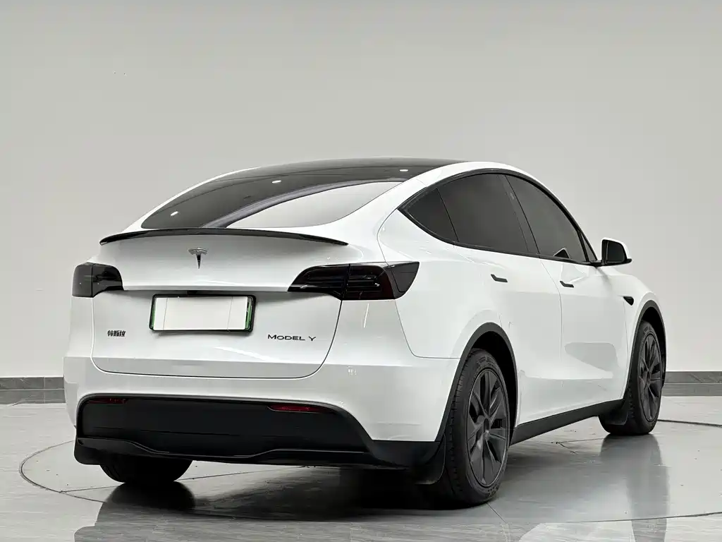 Tesla Model Y — фото 7