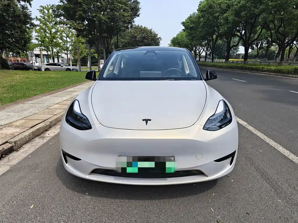 Tesla Model Y — фото 2
