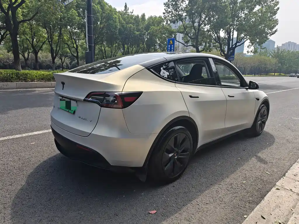 Tesla Model Y — фото 5