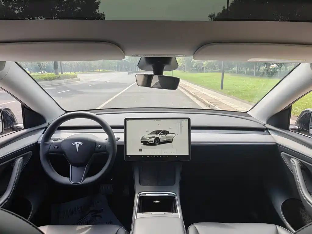 Tesla Model Y — фото 8