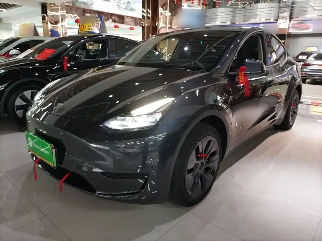 Tesla Model Y — фото 2