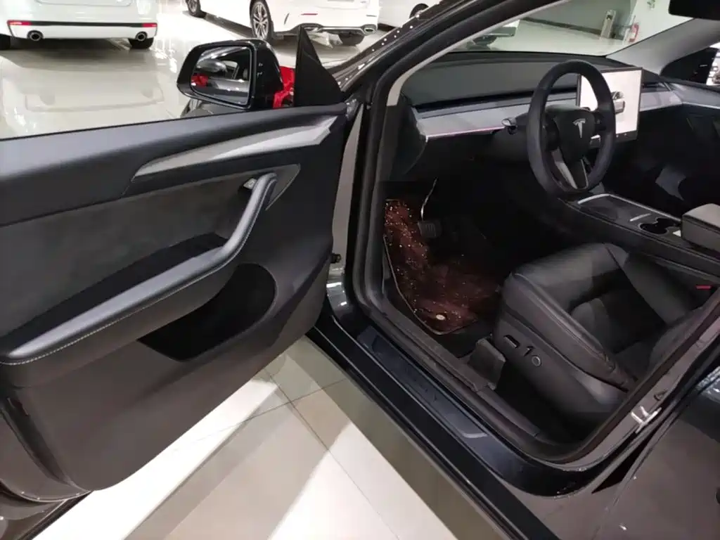 Tesla Model Y — фото 16