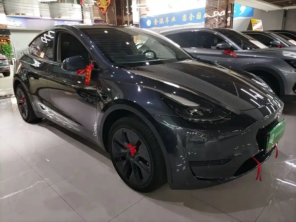 Tesla Model Y — фото 4