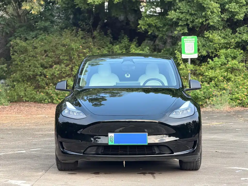 Tesla Model Y — фото 2