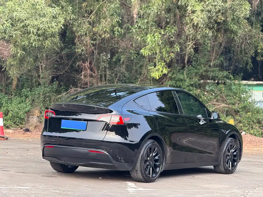 Tesla Model Y — фото 11