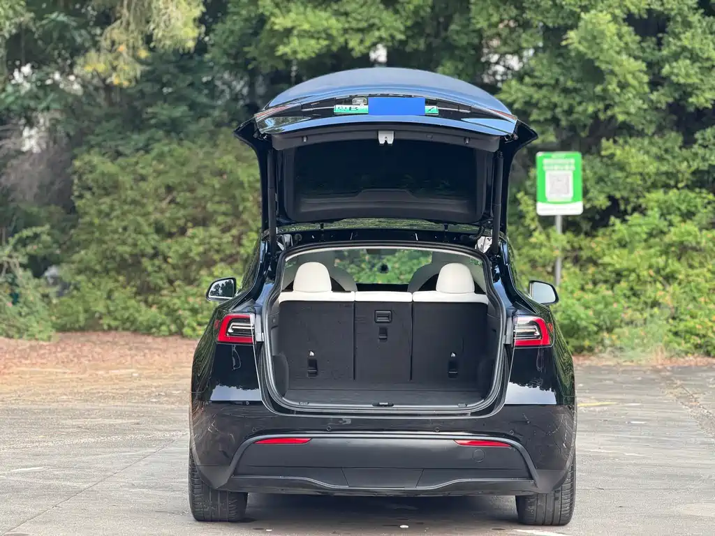 Tesla Model Y — фото 13
