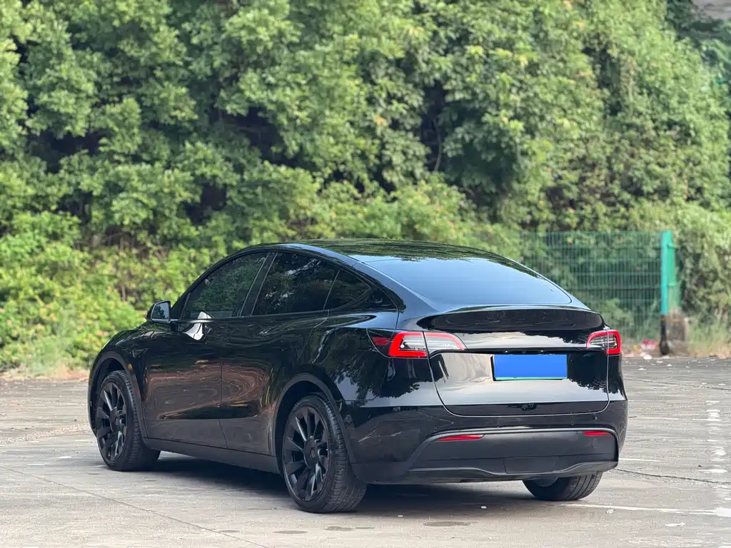 Tesla Model Y — фото 14