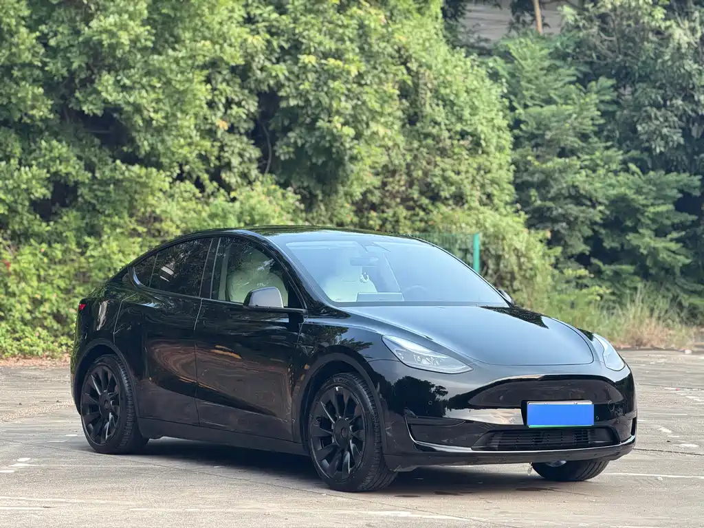 Tesla Model Y — фото 3