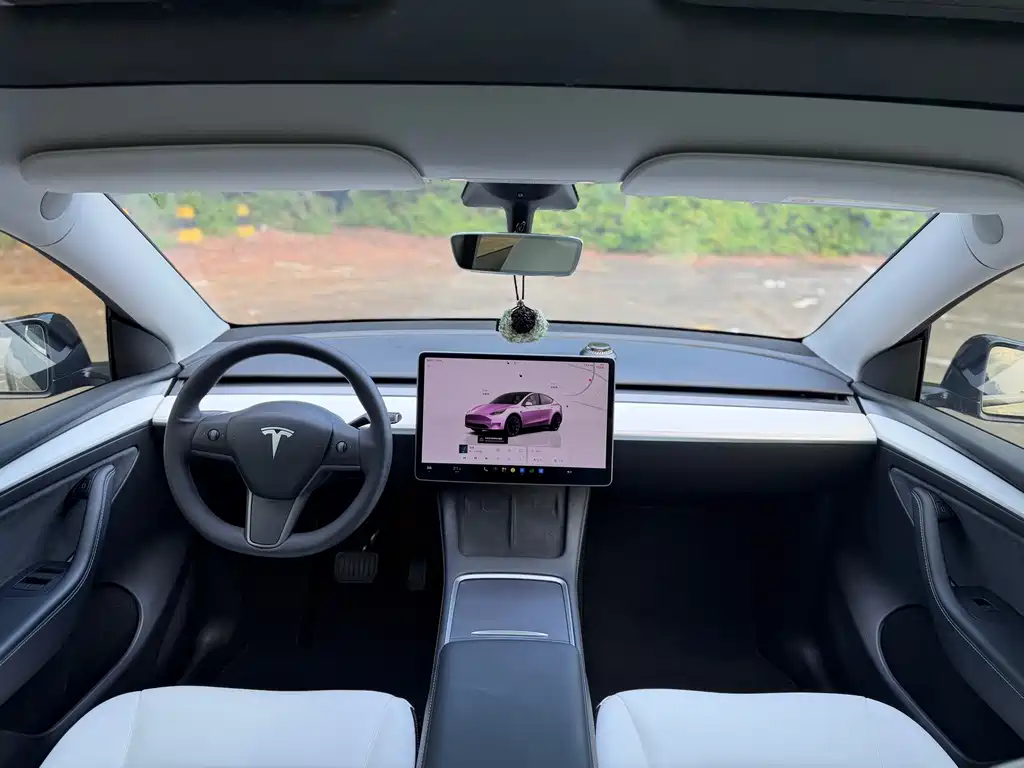 Tesla Model Y — фото 7