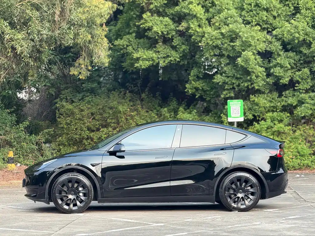 Tesla Model Y — фото 10