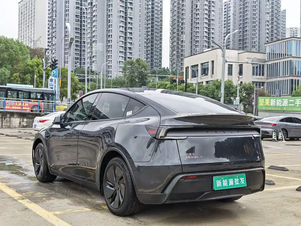Tesla Model Y — фото 4