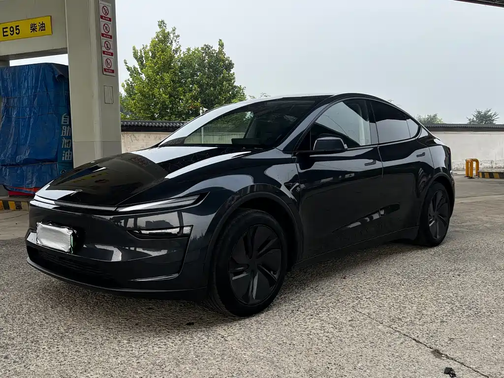 Tesla Model Y — фото 2