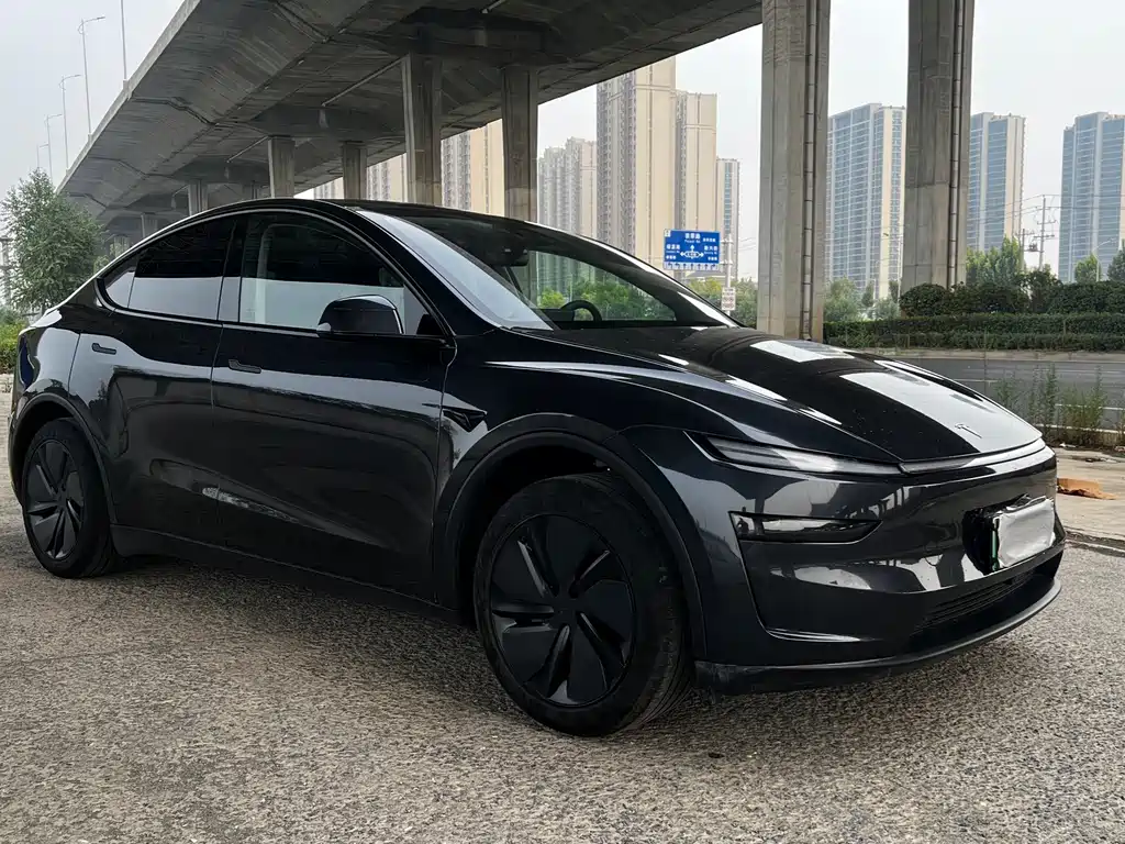 Tesla Model Y — фото 3