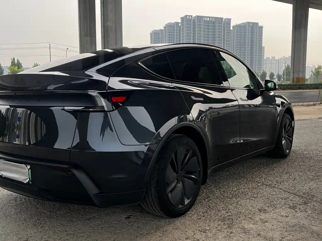 Tesla Model Y — фото 5