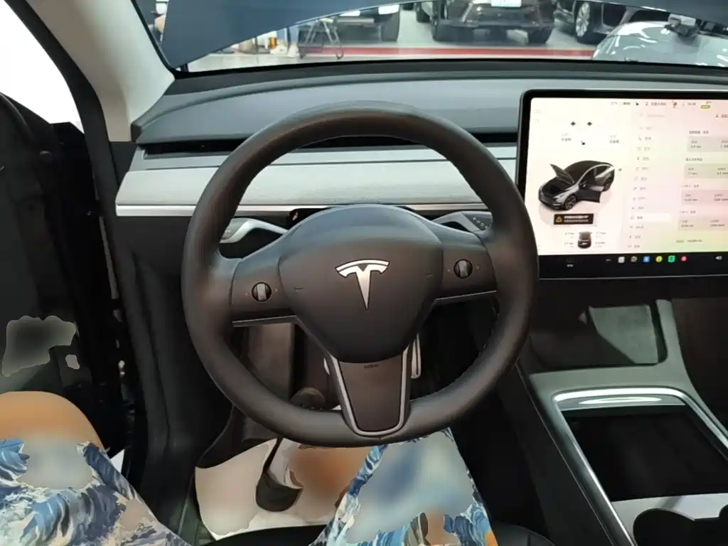 Tesla Model Y — фото 11