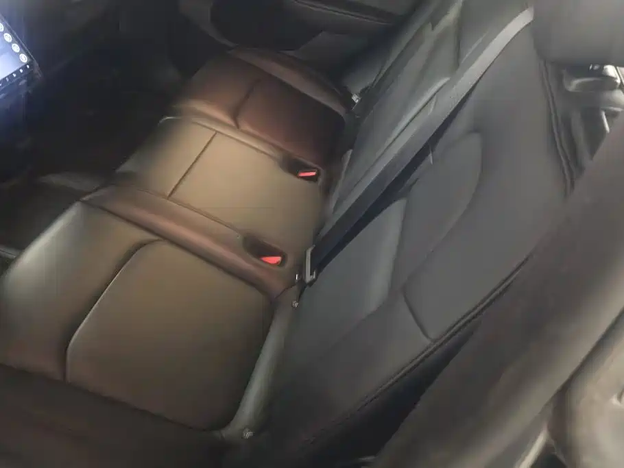 Tesla Model Y — фото 11
