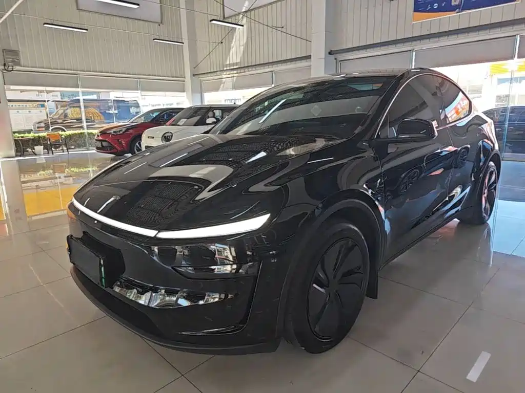 Tesla Model Y — фото 2