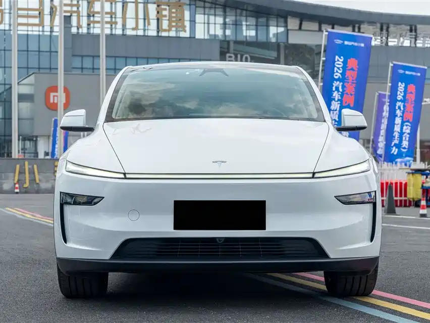 Tesla Model Y — фото 2