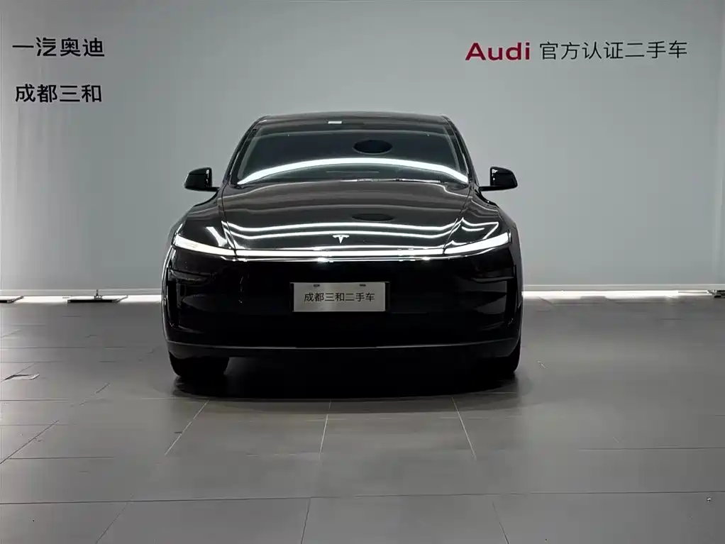 Tesla Model Y — фото 2