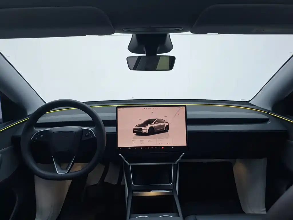 Tesla Model Y — фото 18