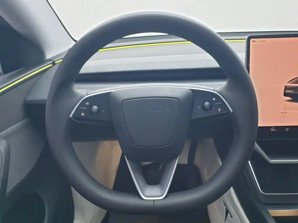 Tesla Model Y — фото 19
