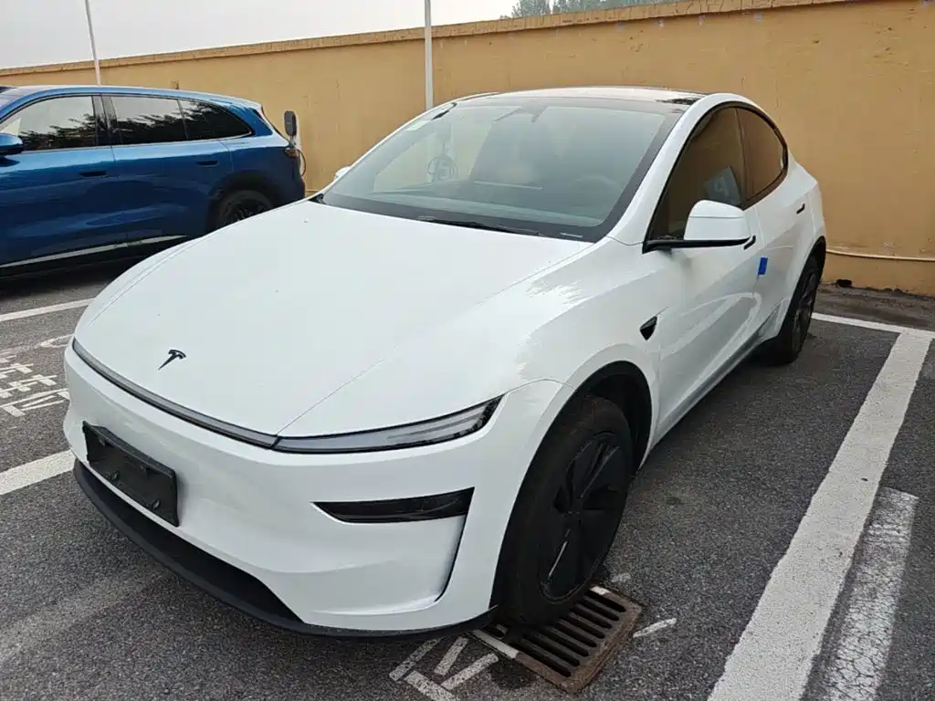 Tesla Model Y — фото 2