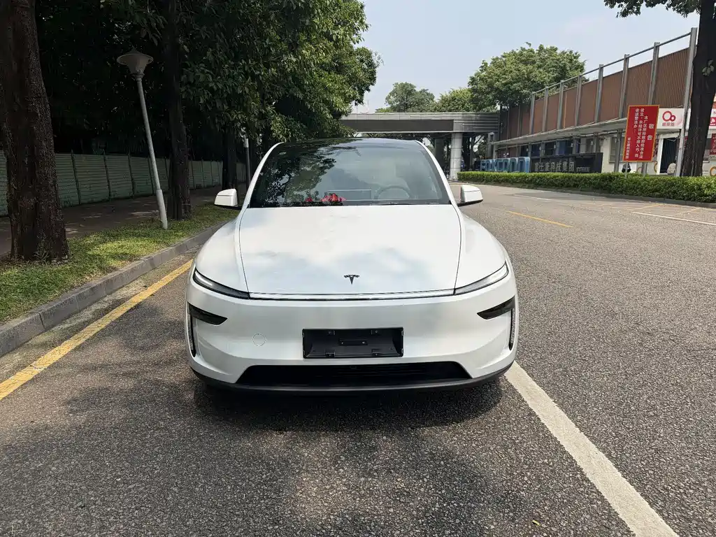 Tesla Model Y — фото 2