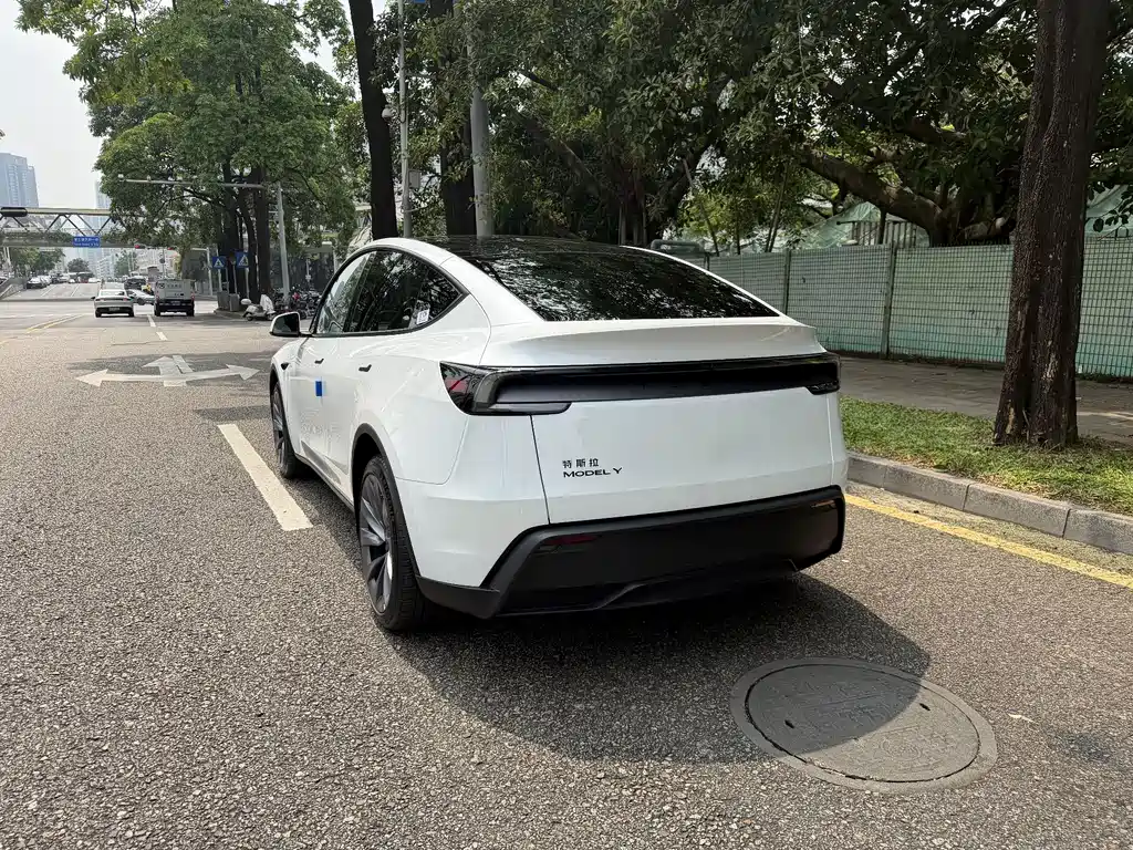 Tesla Model Y — фото 8
