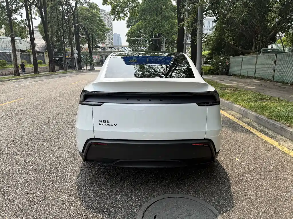 Tesla Model Y — фото 9
