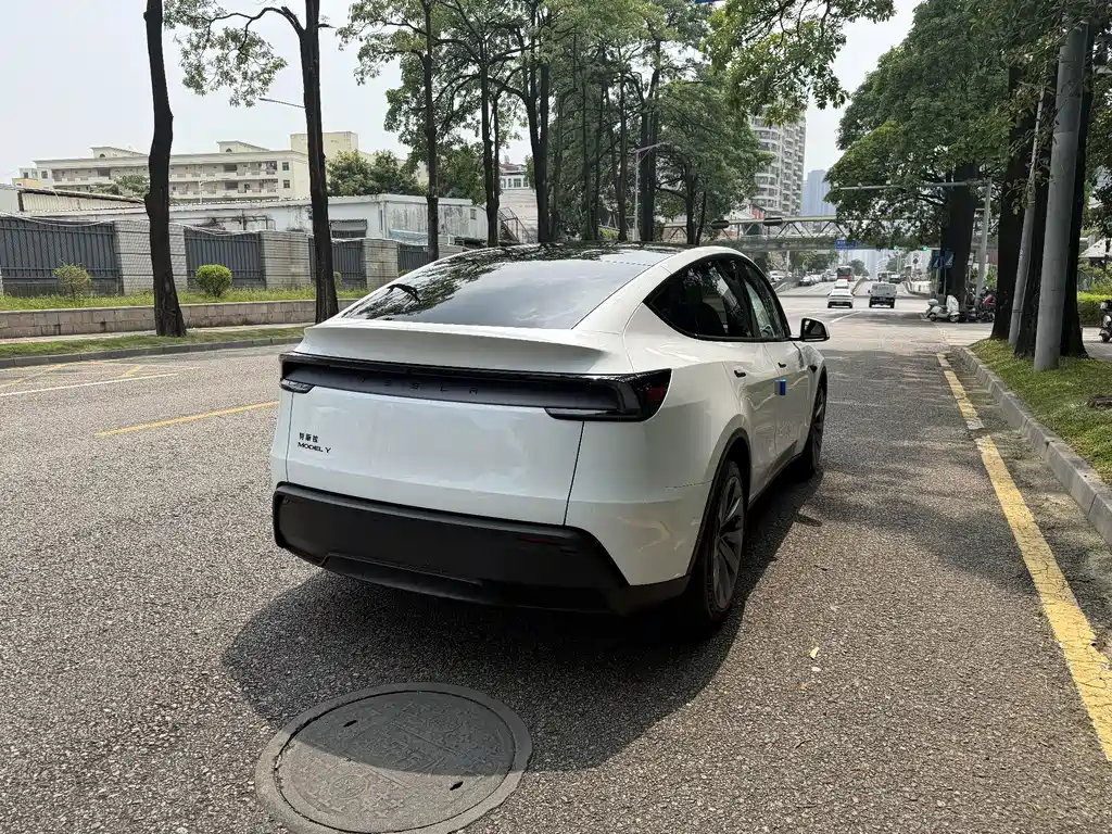 Tesla Model Y — фото 10