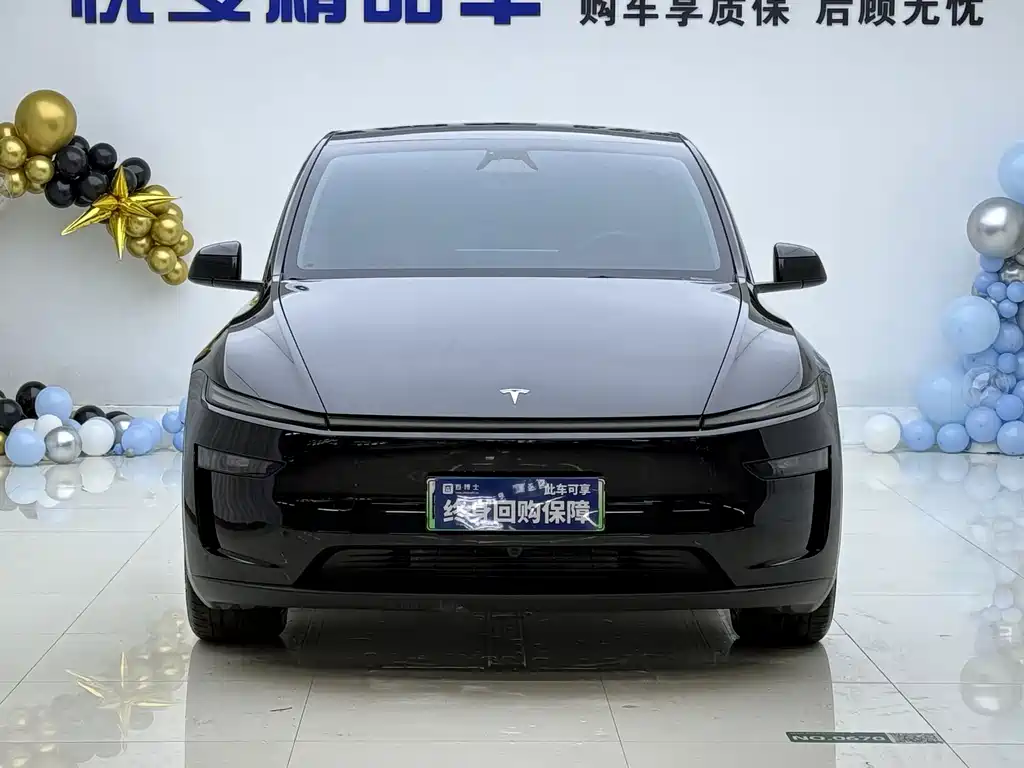 Tesla Model Y — фото 2